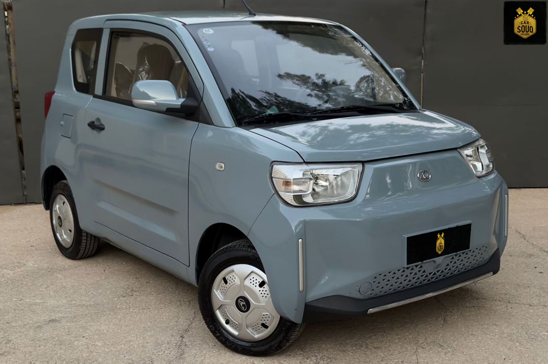 2023 Leopaard Mini