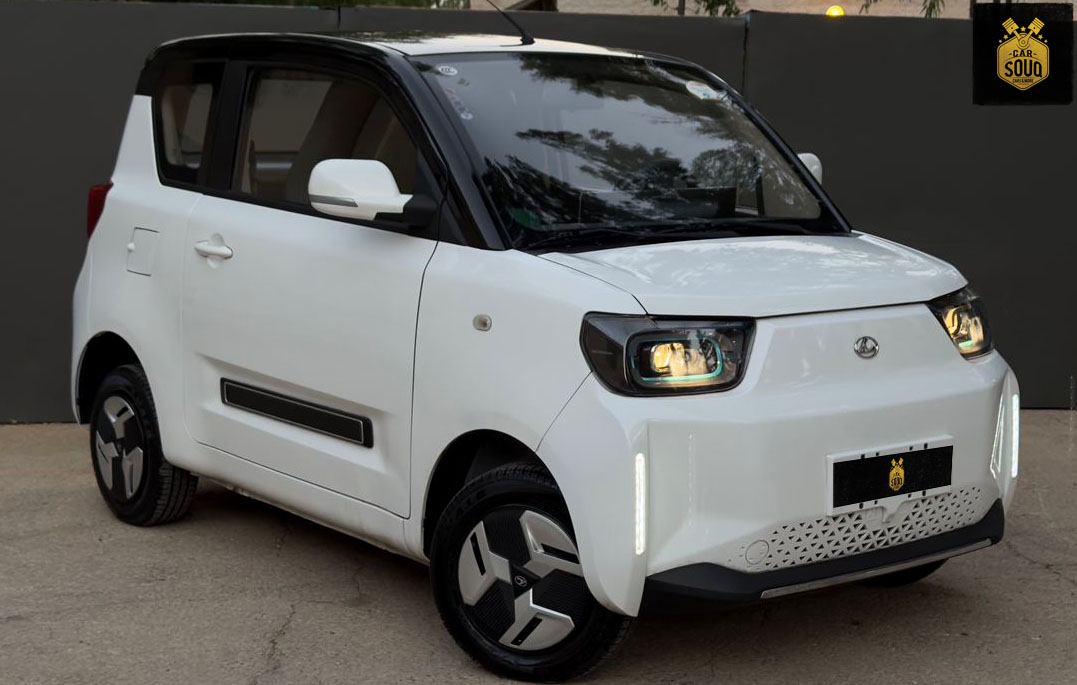 2023 Leopaard Mini