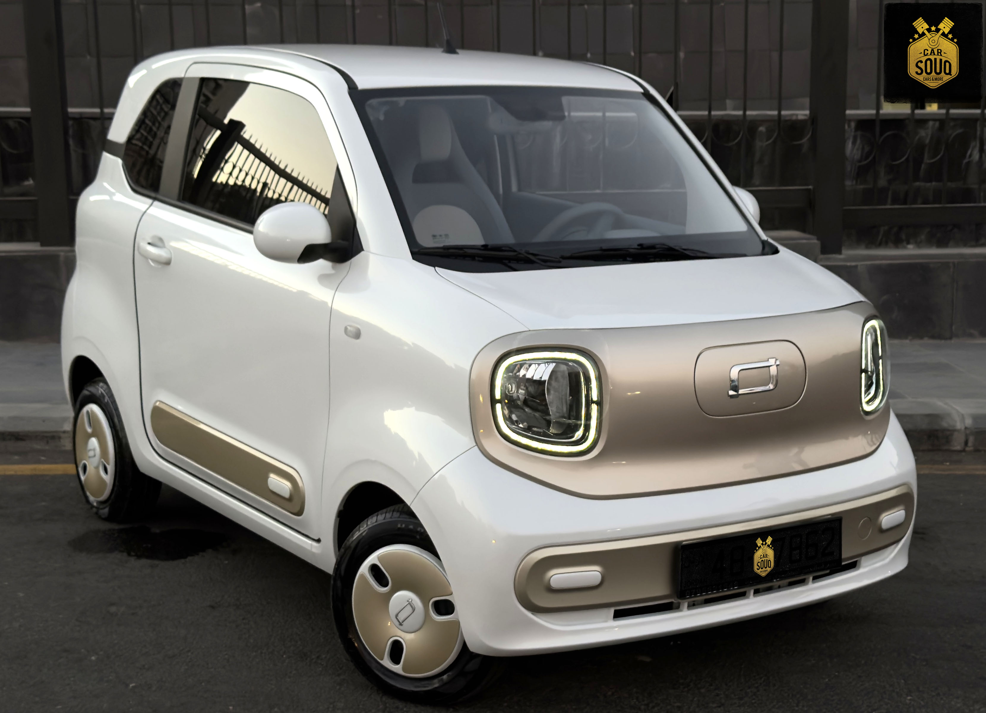 2024 Bestune Pony